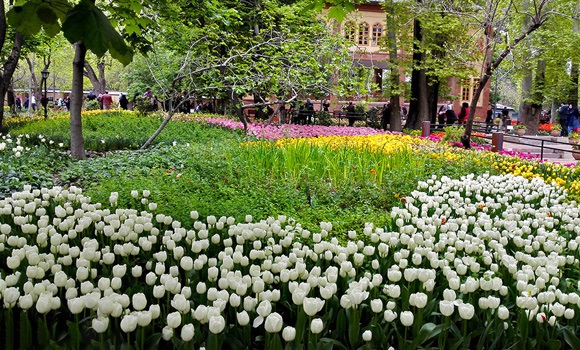 باغ ایرانی 