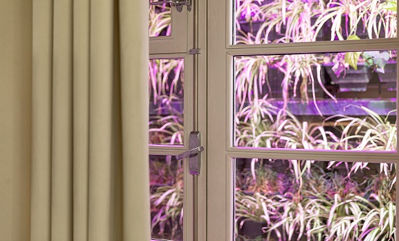 رستوران بوتیک هتل حنا