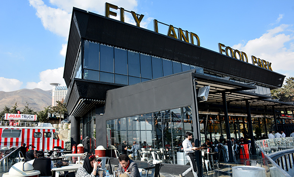 Fly Land 
